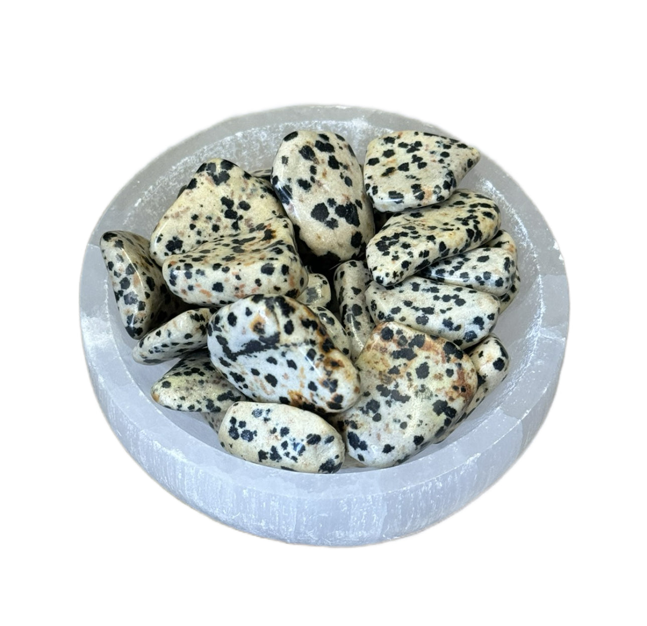 Dalmation Jasper