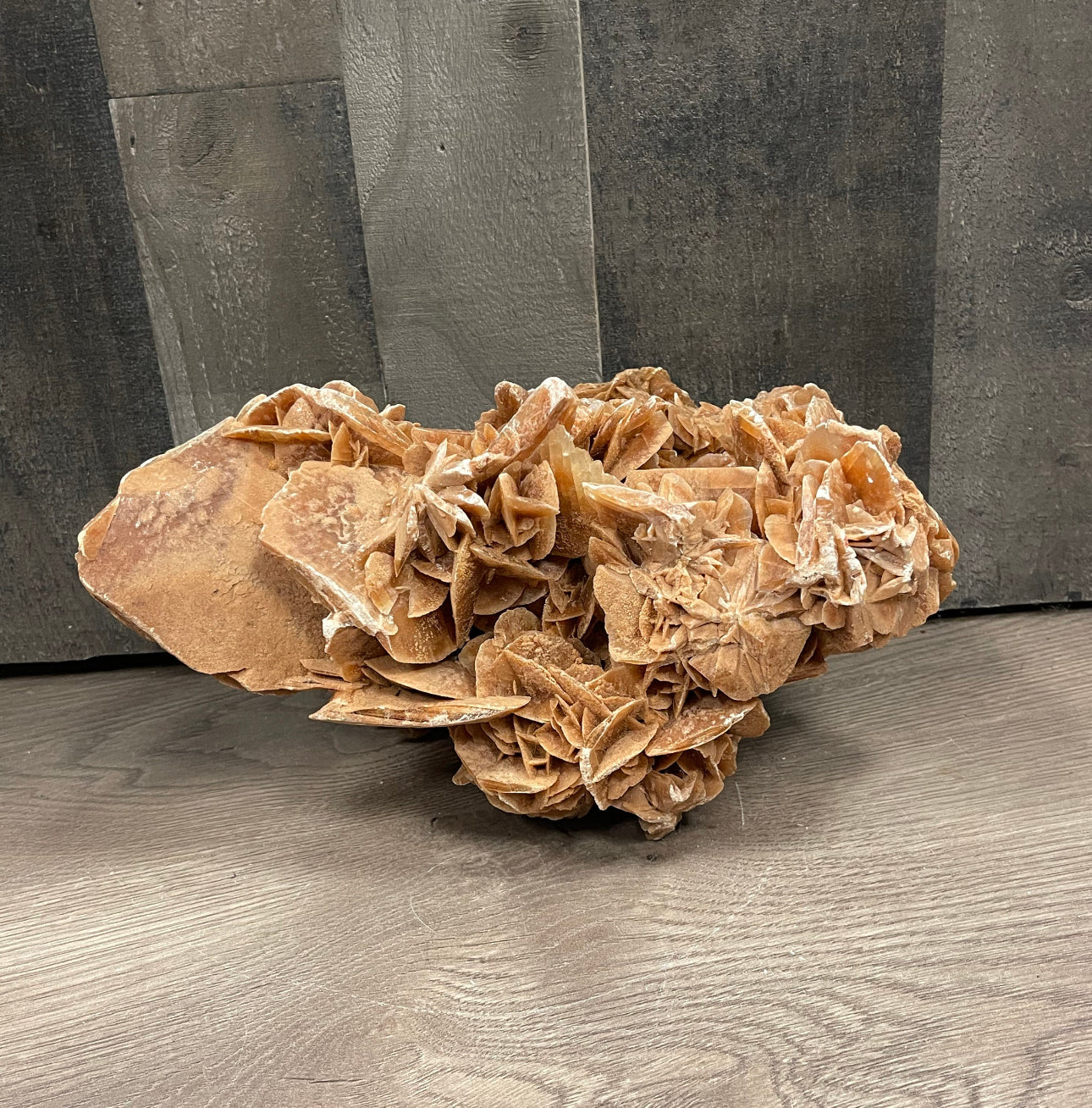 Desert Rose Cluster