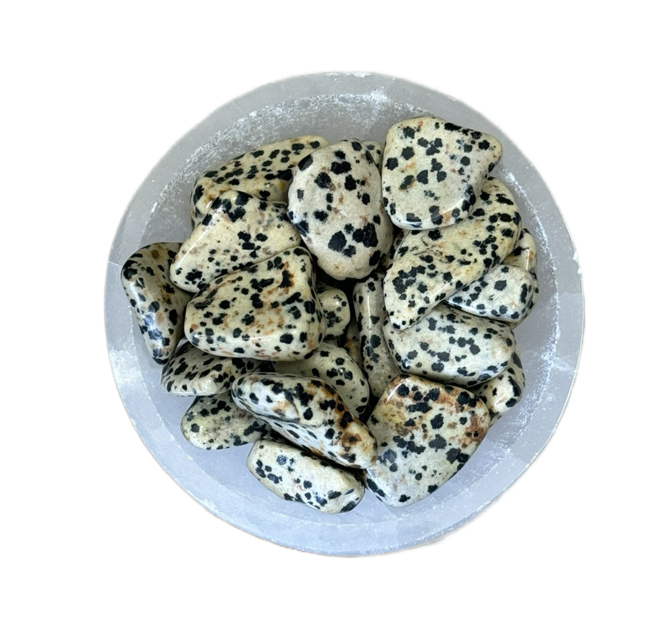 Dalmation Jasper