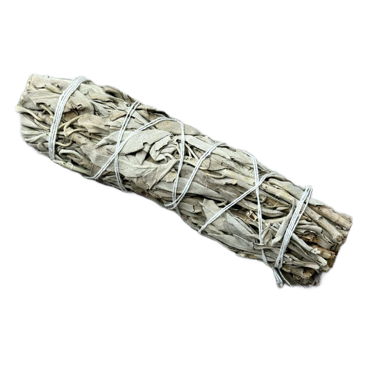 White Sage (Medium)